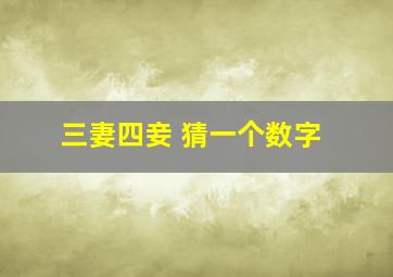 三妻四妾 猜一个数字